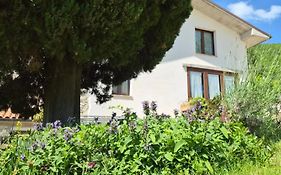 Agriturismo Vallonga